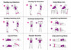 Workout Resistance Band
