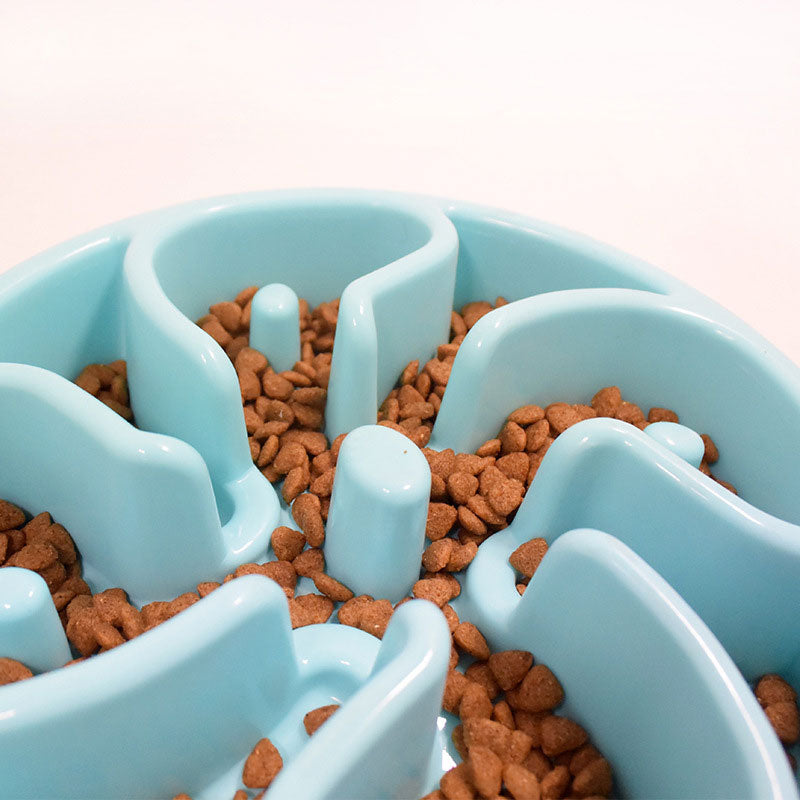 Slow Feeding Bowl