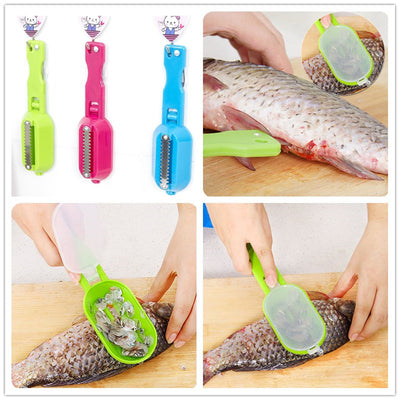Stainless Steel Scales Skinner