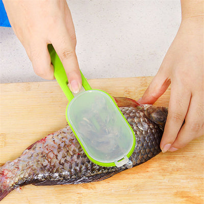 Stainless Steel Scales Skinner