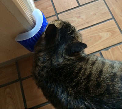 Self-Grooming Cat Massage Brush