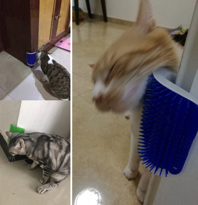 Self-Grooming Cat Massage Brush