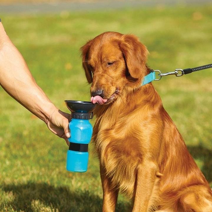 Outdoor Pet Mug