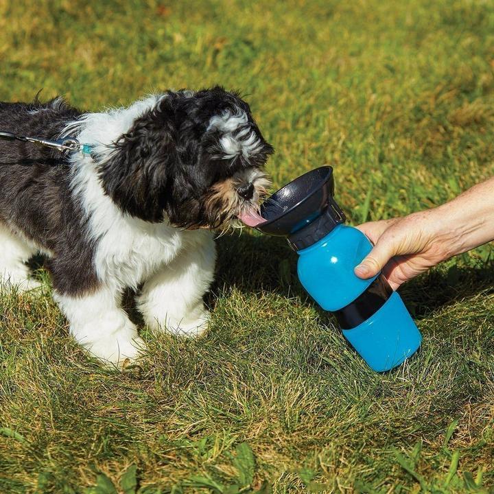 Outdoor Pet Mug
