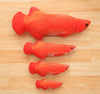 1:1 Fish Toy for Cats