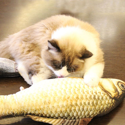 1:1 Fish Toy for Cats