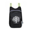 Waterproof Folding Backpack