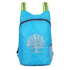 Waterproof Folding Backpack