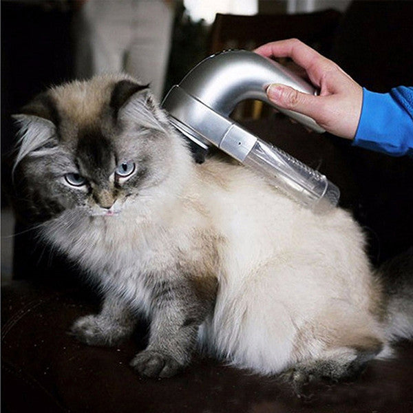 Portable Pet Vacuum Groomer