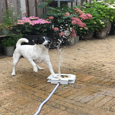 Drinky Dog Fountain