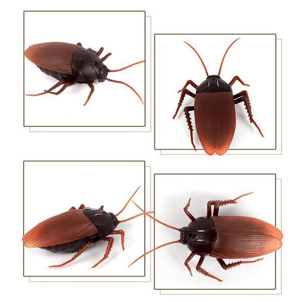 Remote Control Toy Cockroach