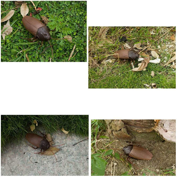 Remote Control Toy Cockroach