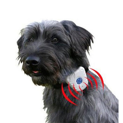 No Bark Dog Collar