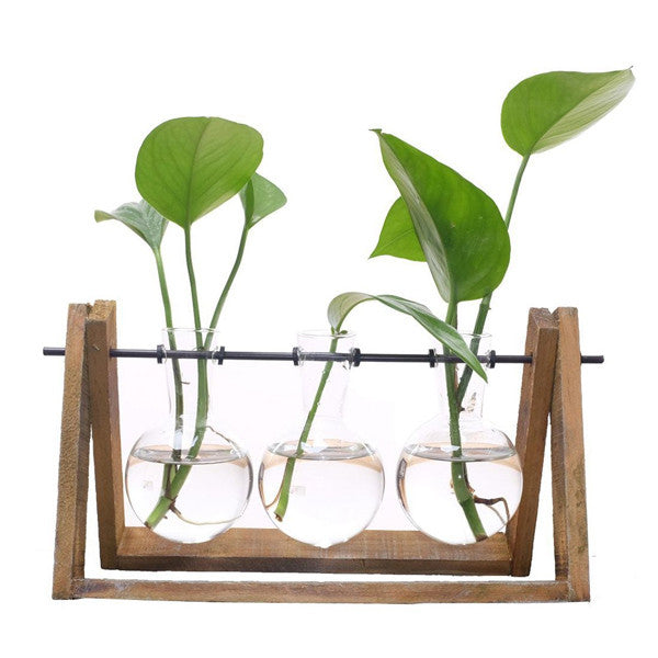 Plant terrarium with wooden stand