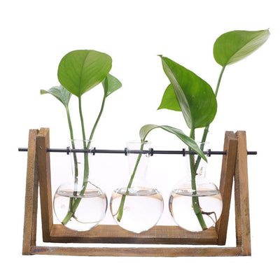 Plant terrarium with wooden stand