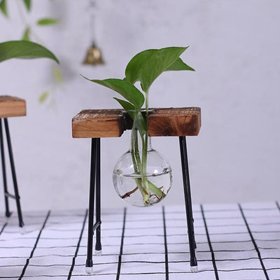 Plant terrarium with wooden stand