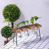 Plant terrarium with wooden stand