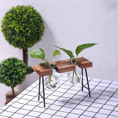 Plant terrarium with wooden stand